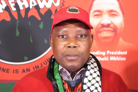 Regional Chairperson - Mangaliso Faku